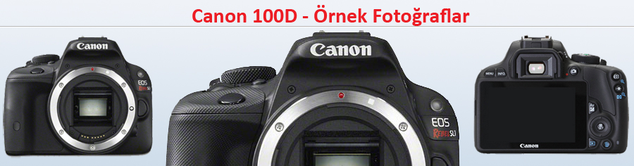 Canon 100d örnek fotoğrafları