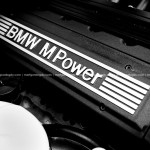 IMG_8517_1