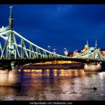 IMG_9334