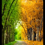 IMG_9455_4