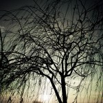 cold